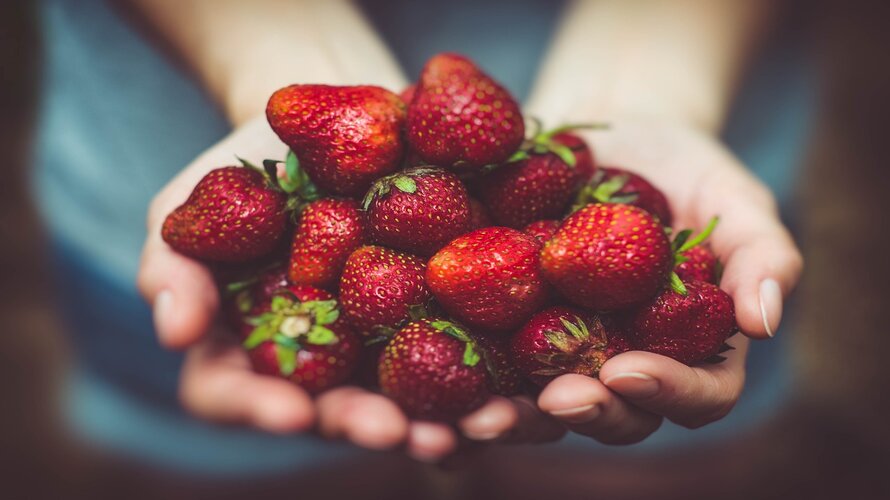 Fisetin - Health Benefits, Dosage, Side Effects