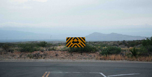 What is better, NMN or NR?