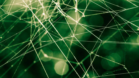 Why Is Coenzyme Q10 Taken as a Supplement?