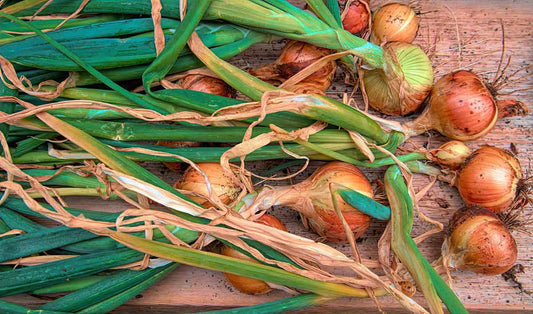 Quercetin 101: Nutrition and Its Health Benefits