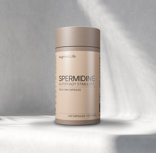 Spermidine - capsules
