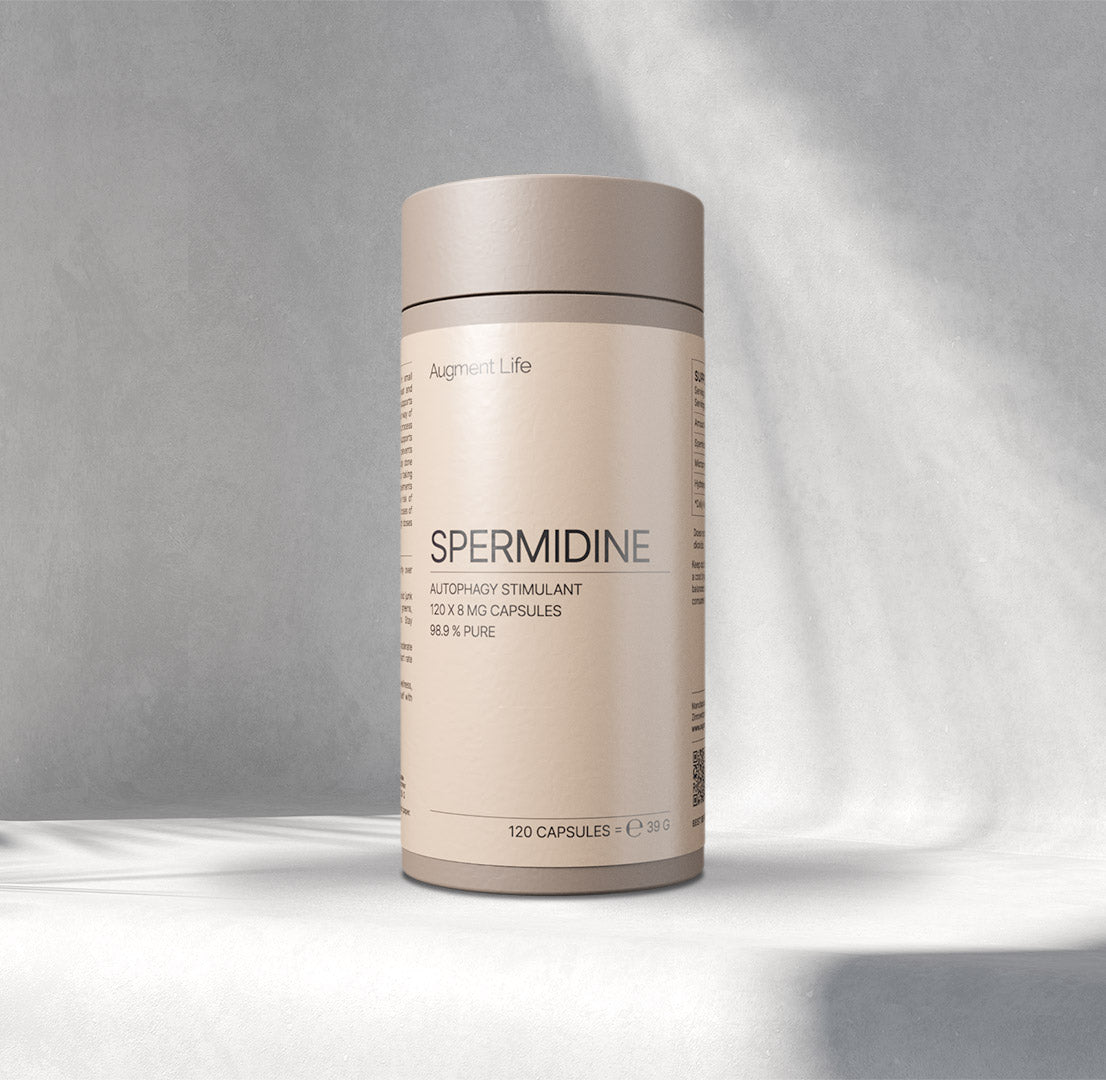 Spermidine - capsules