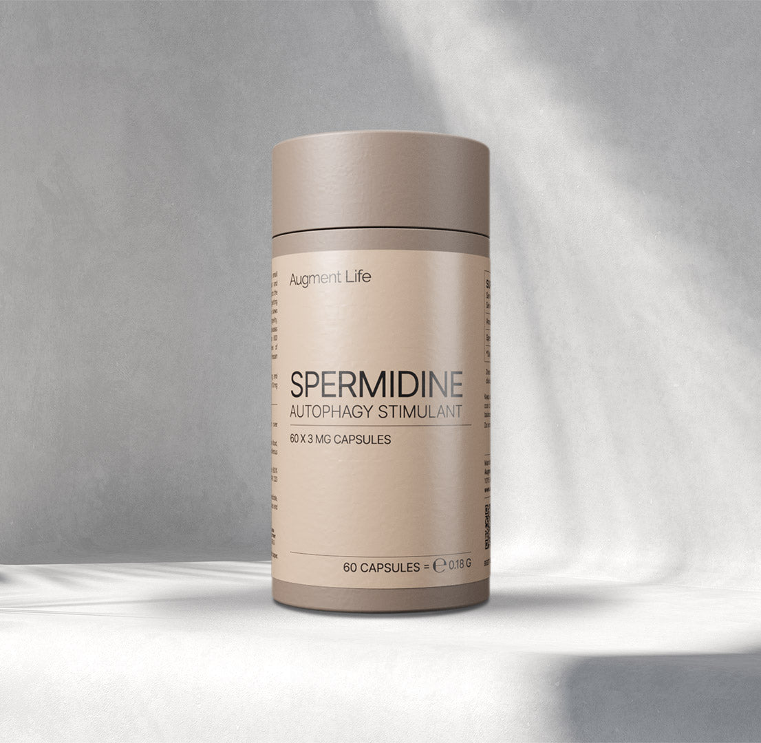 Spermidine - capsules